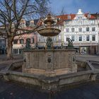 Brunnen - Kohlmarkt