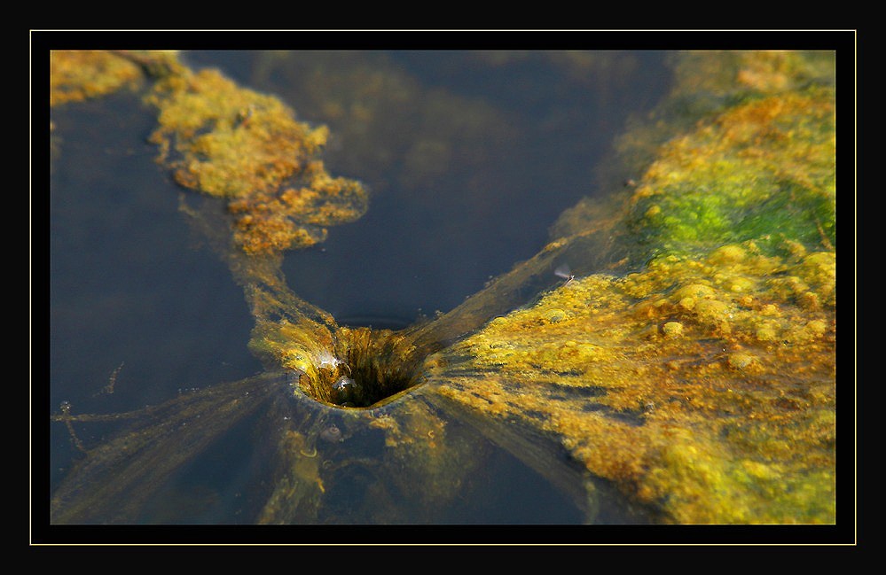 Brunnen-Landschaft ...