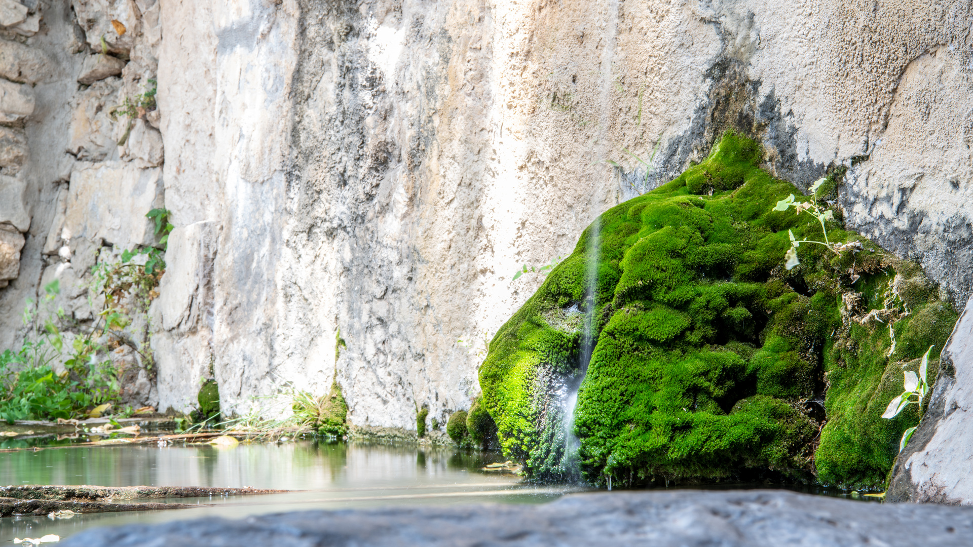 Brunnen Le Castellet (06/2018)