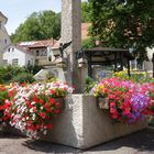 Brunnen mit Blumen in Falkenstein