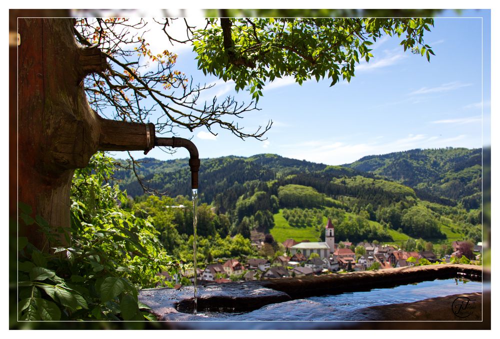 Brunnen mit Fernsicht