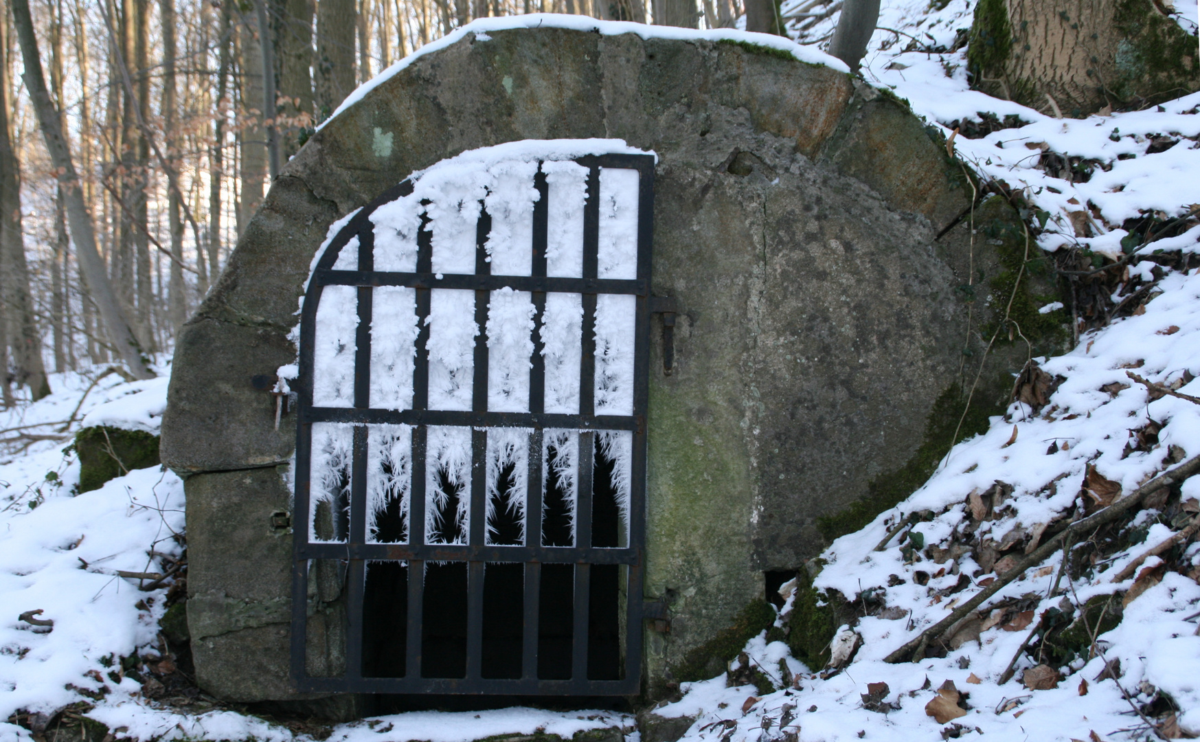 Brunnen mit Gitter