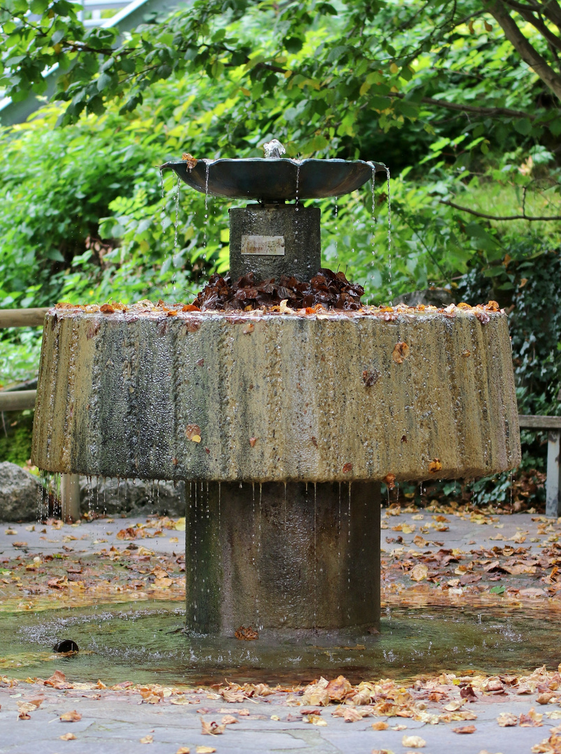 Brunnen mit Herbstlaub