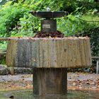 Brunnen mit Herbstlaub