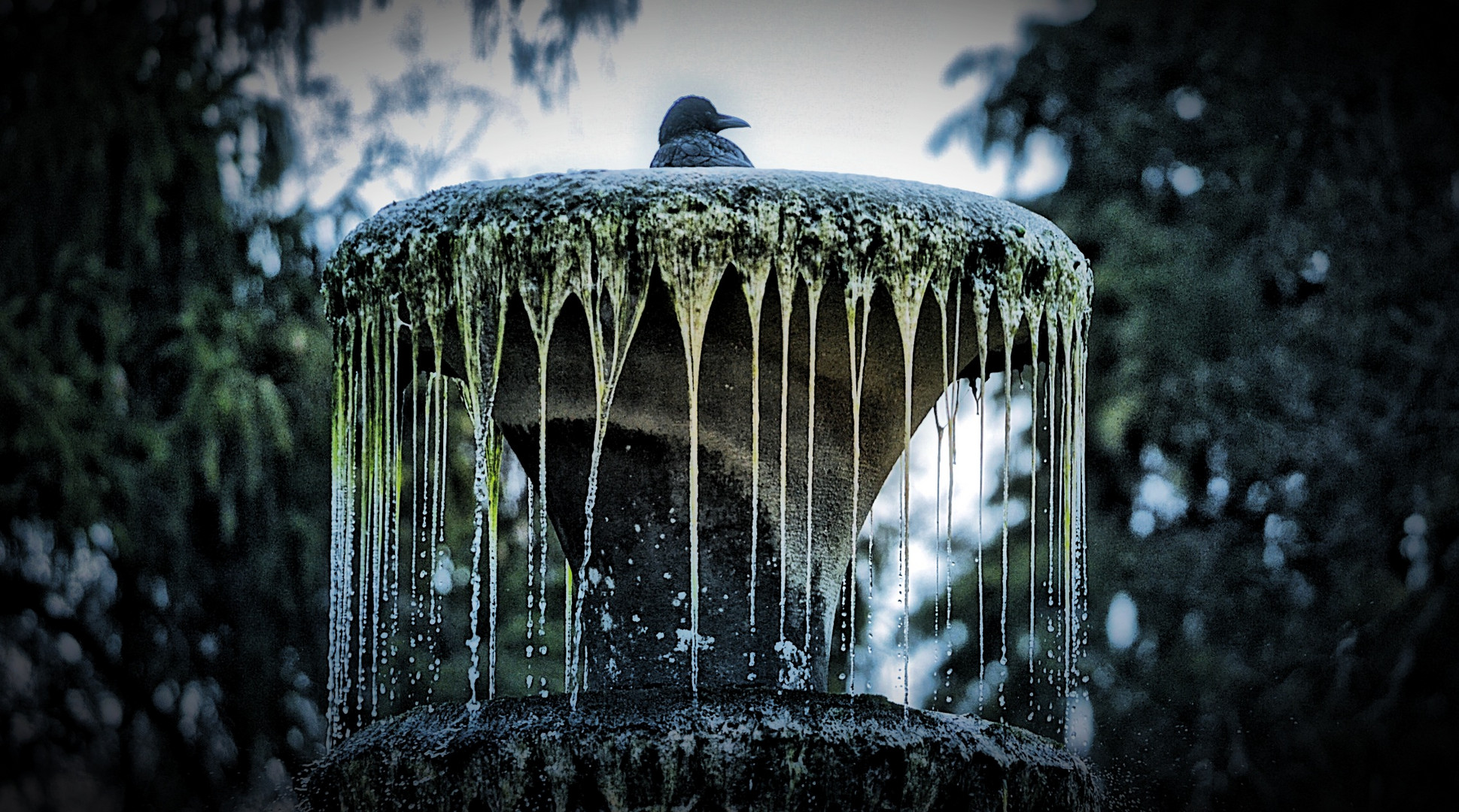 Brunnen mit Krähe