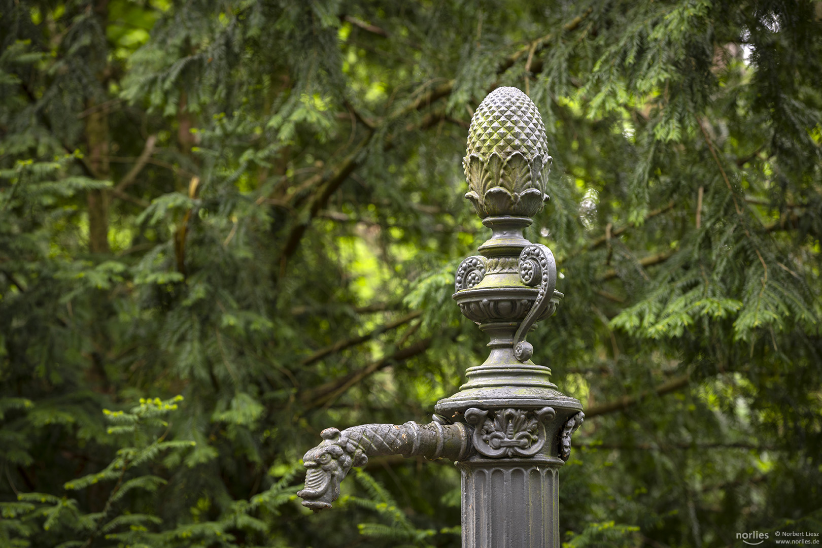 Brunnen mit Zirbelnuss