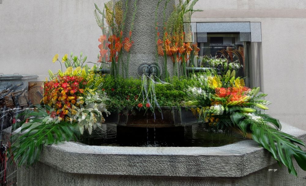 Brunnen Stadt Aarau - Schweiz - 3D Intertlaced Bild an einem Polfilter Monitor oder 3D TV anschauen.