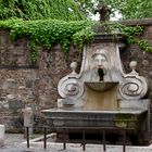 Brunnen, Via Giulia, Città Vecchia, Roma, I