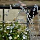 Brunnen Wernigerode