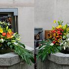 Brunnen zwischen den Toren Stadt Aarau - Schweiz - Kreuzblick Stereos