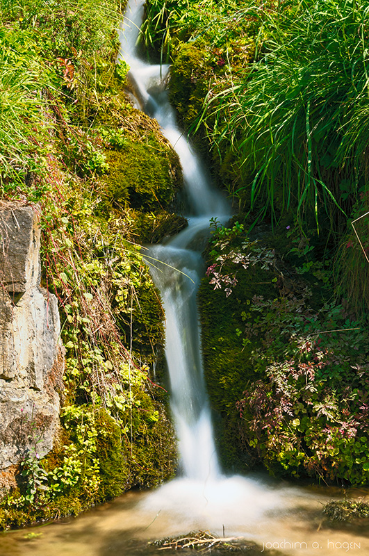 Brunnen_am_Gries