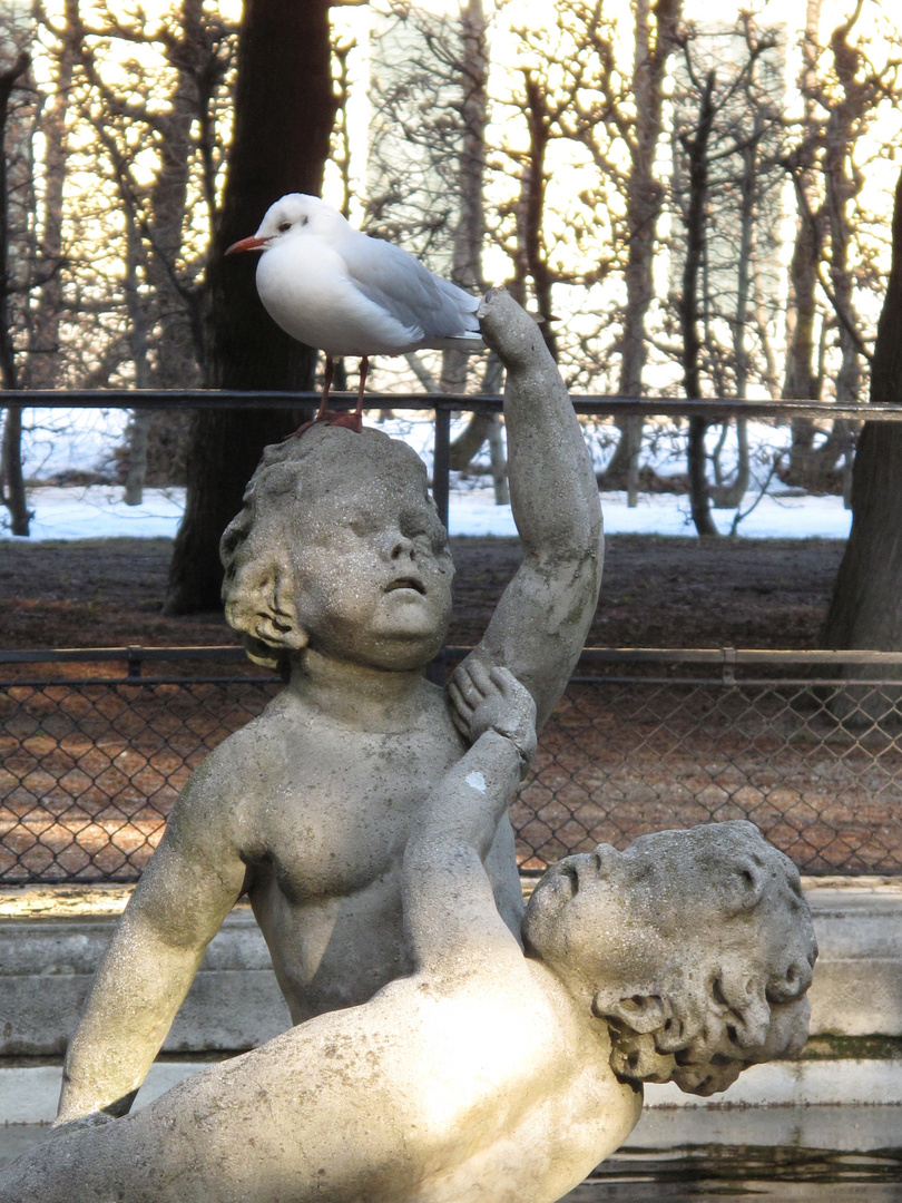 Brunnenfigur in Schönbrunn fängt Möwe... :-)