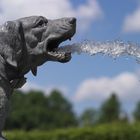 "Brunnenhund" im Schloss Herrenchiemsee