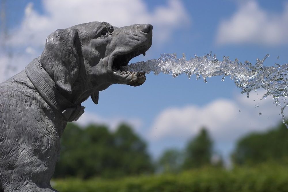 "Brunnenhund" im Schloss Herrenchiemsee