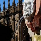 Brunnenlächeln an der Kathedrale in Sevilla