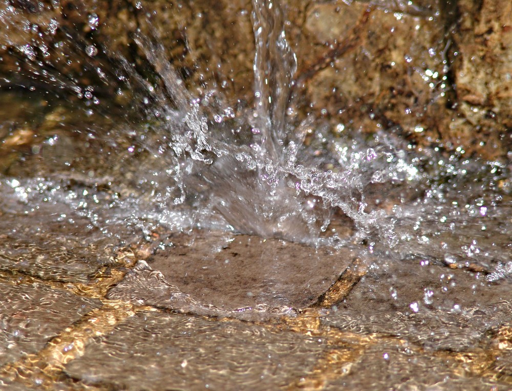 Brunnenwasser von Nikolas Maximilian Schlage 