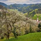 Brunnenweg mit Blick auf Ottenhöfen