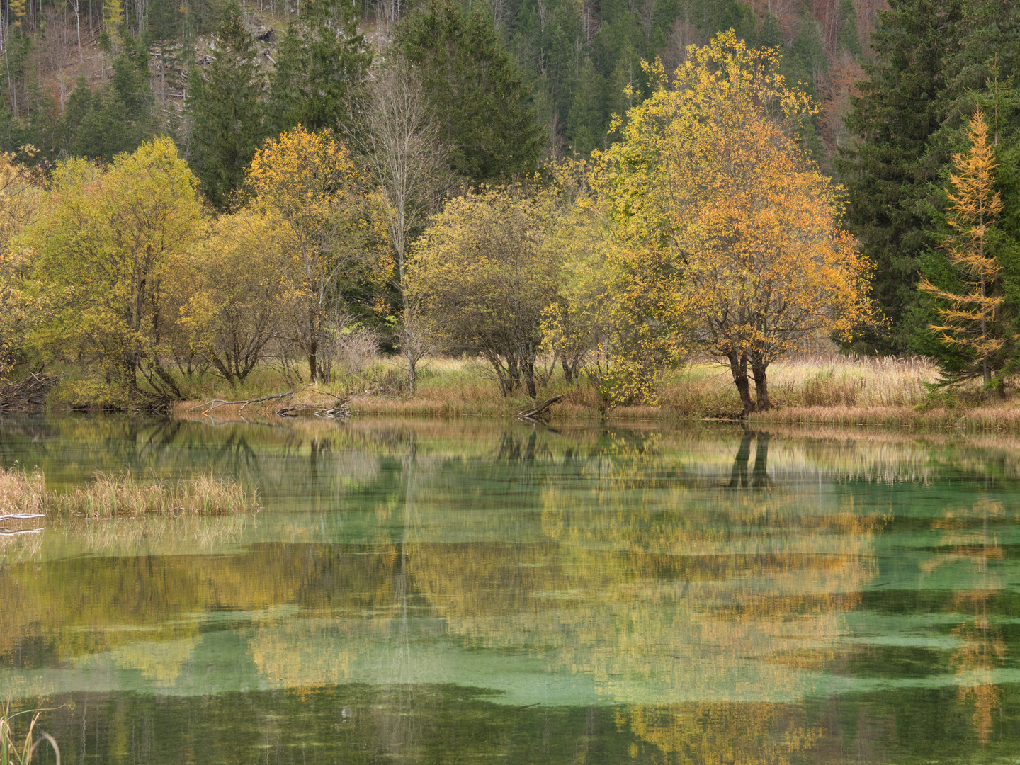 Brunnsee