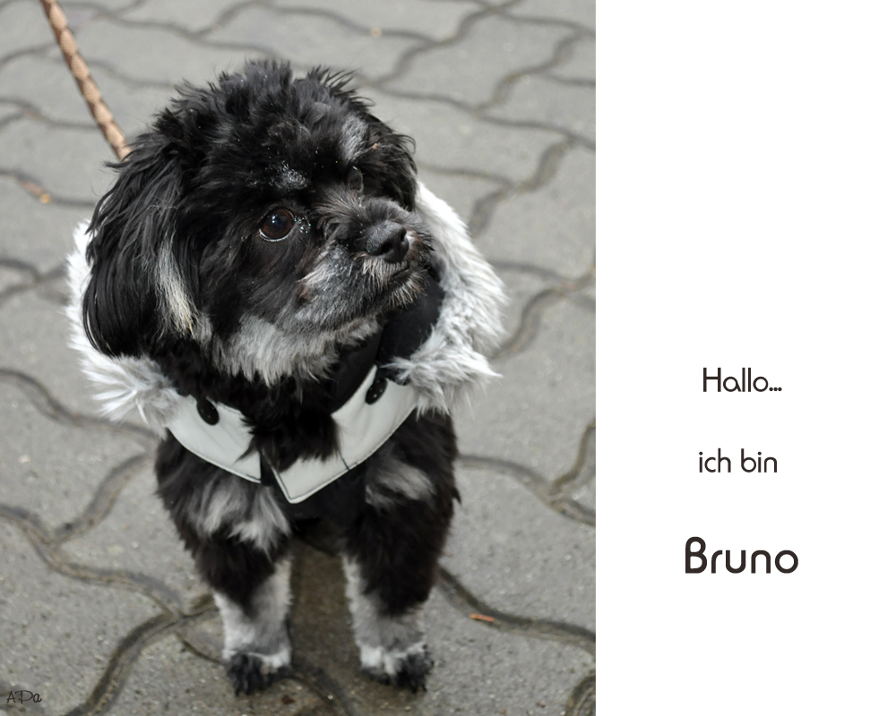 Bruno...