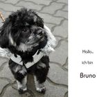 Bruno...