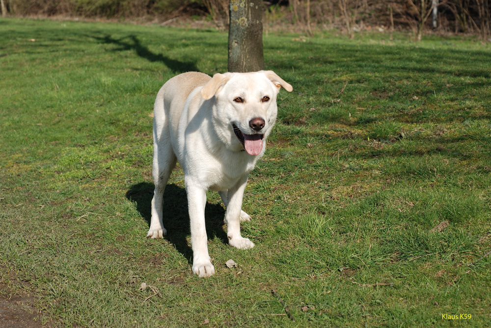 Bruno in Duisburg