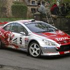 Bruno Thiry auf Peugeot 307 WRC