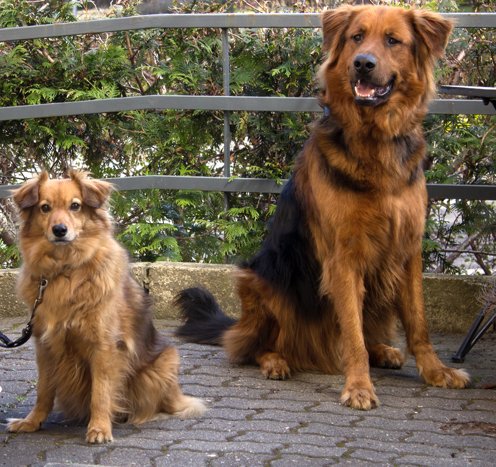 Bruno und Luna