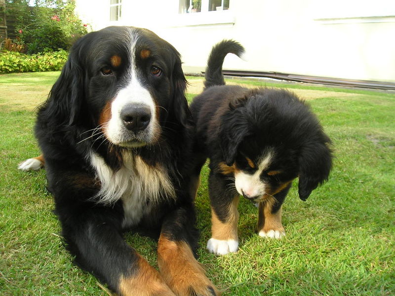 Brunos Mama und Bruder oder Schwester