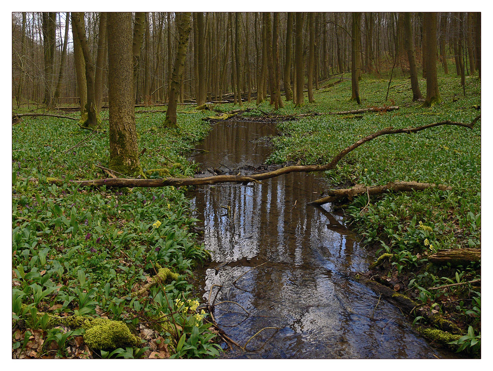 Brunsbach im Brunstal