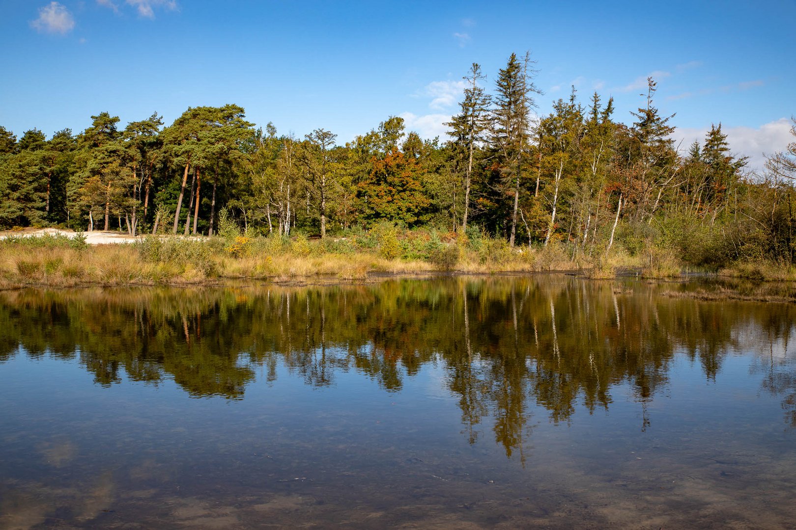 Brunssummerheide