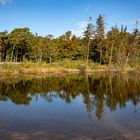 Brunssummerheide