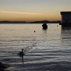 Brunsvika after sunset