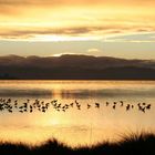 Bruny Island Sunset