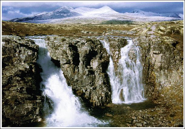 Bruresløret - Rondane NP