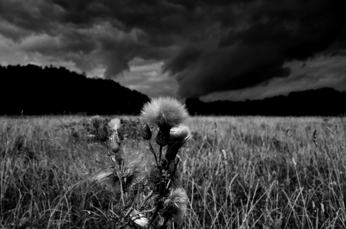 Brushing the Clouds