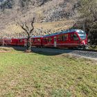 Brusio_RhB im Bereich des Kehrviadukt