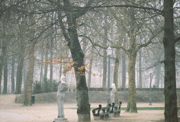 BRUSSELS PARK IN FEBRUARY