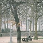 BRUSSELS PARK IN FEBRUARY