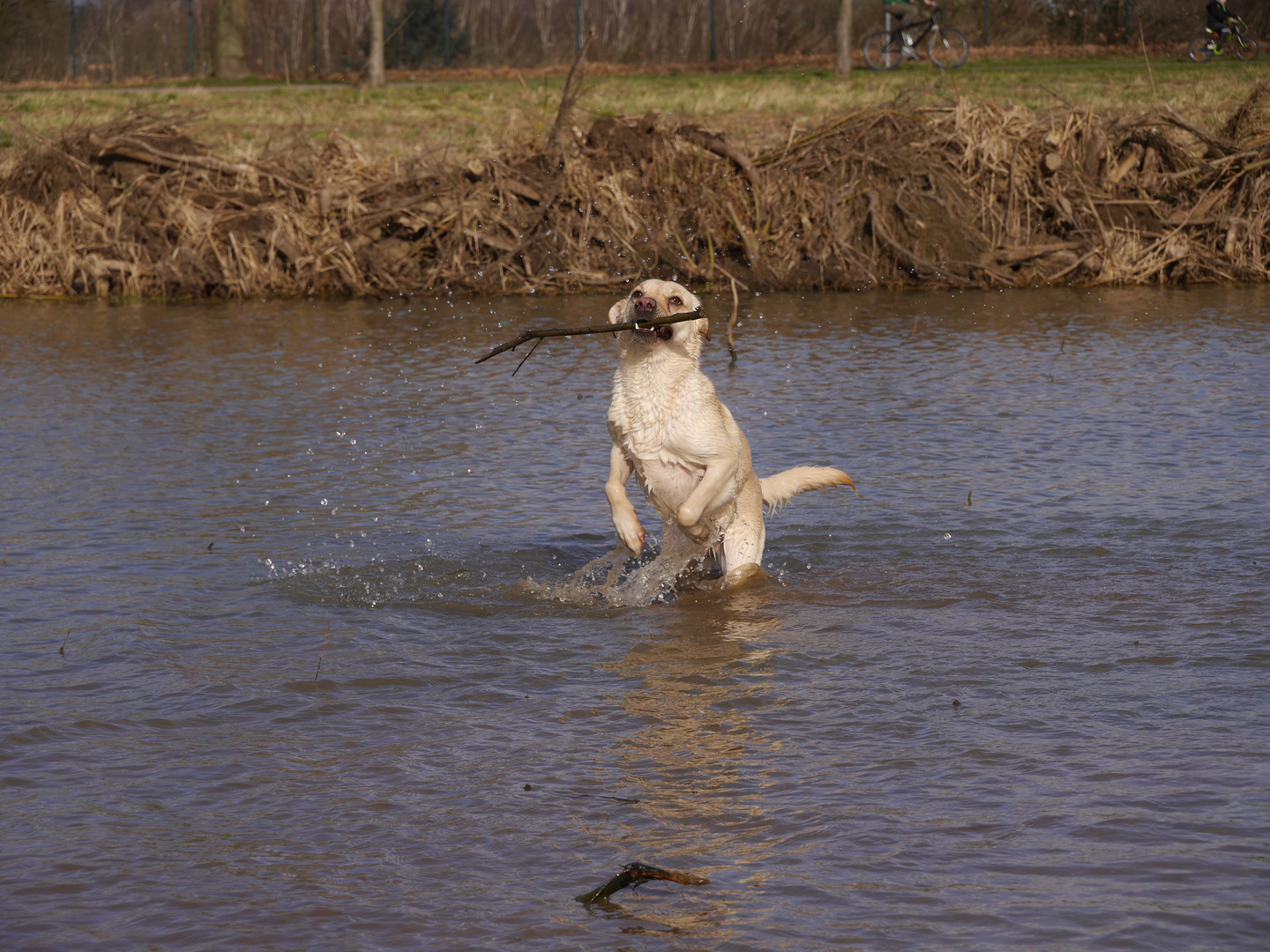 Brust hoch und raus aus dem Wasser