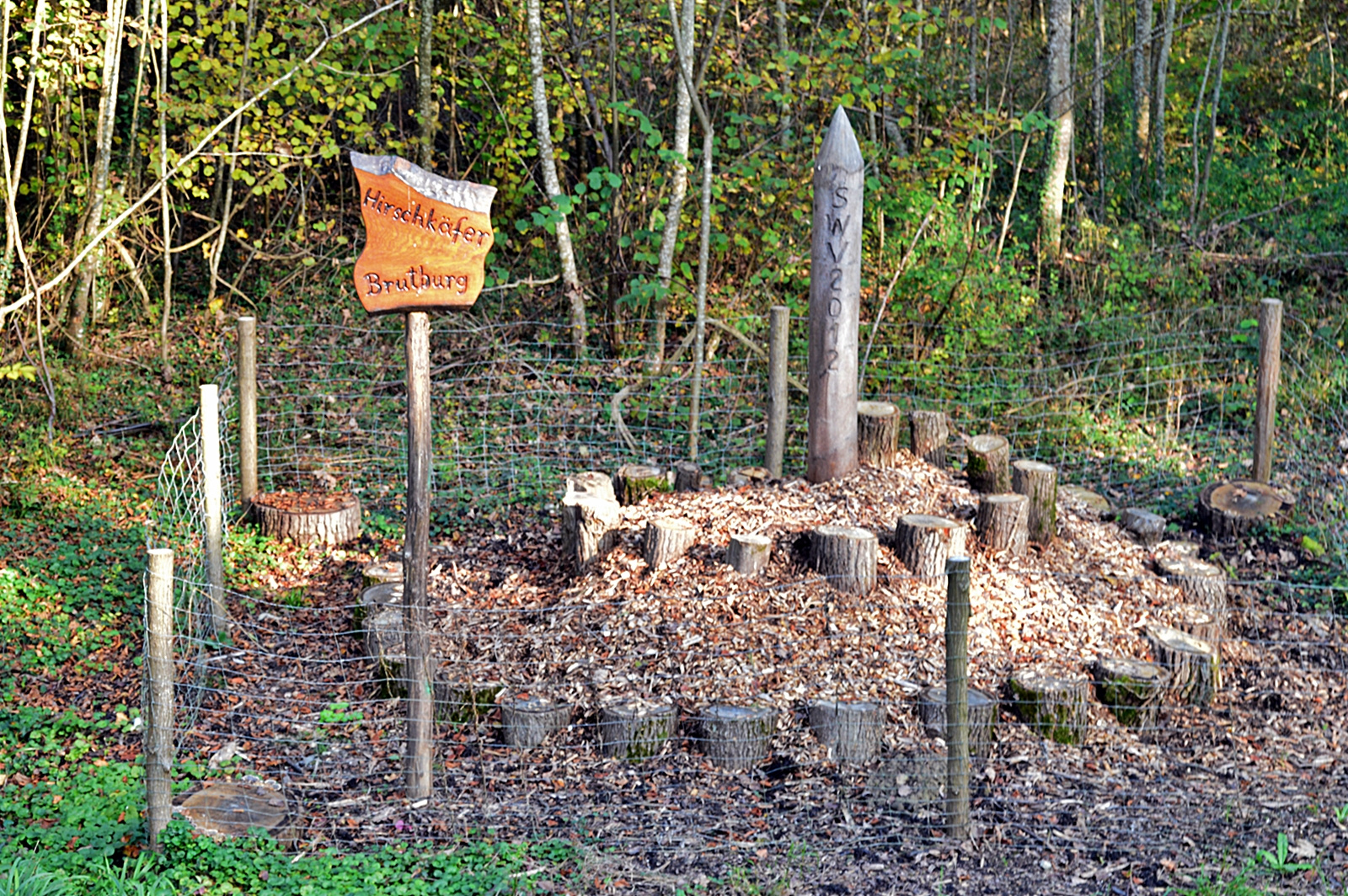 Brutburg für Hirschkäfer