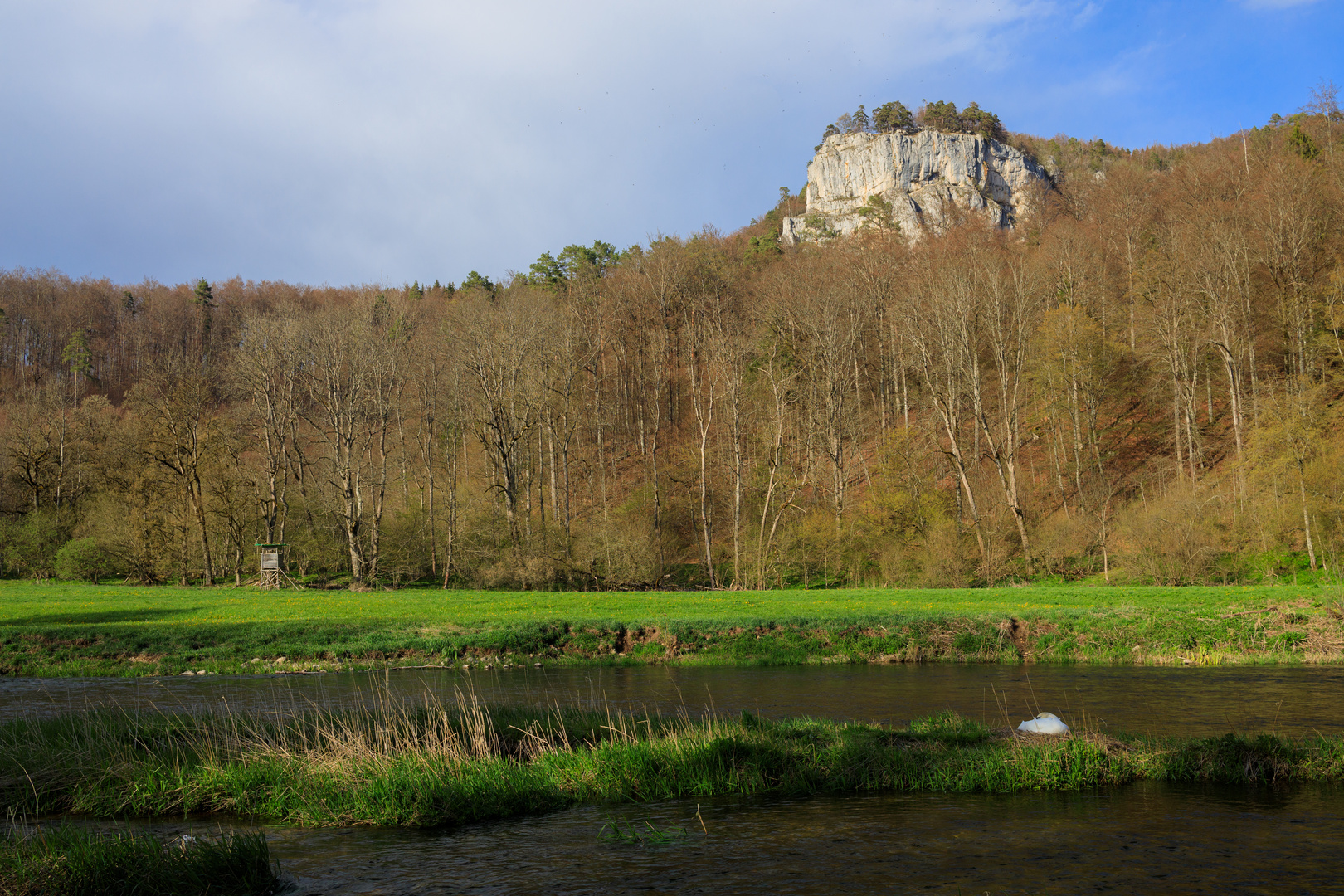 Brutpflege im Donautal