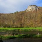 Brutpflege im Donautal