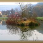 Brutplatz für Wasservogel