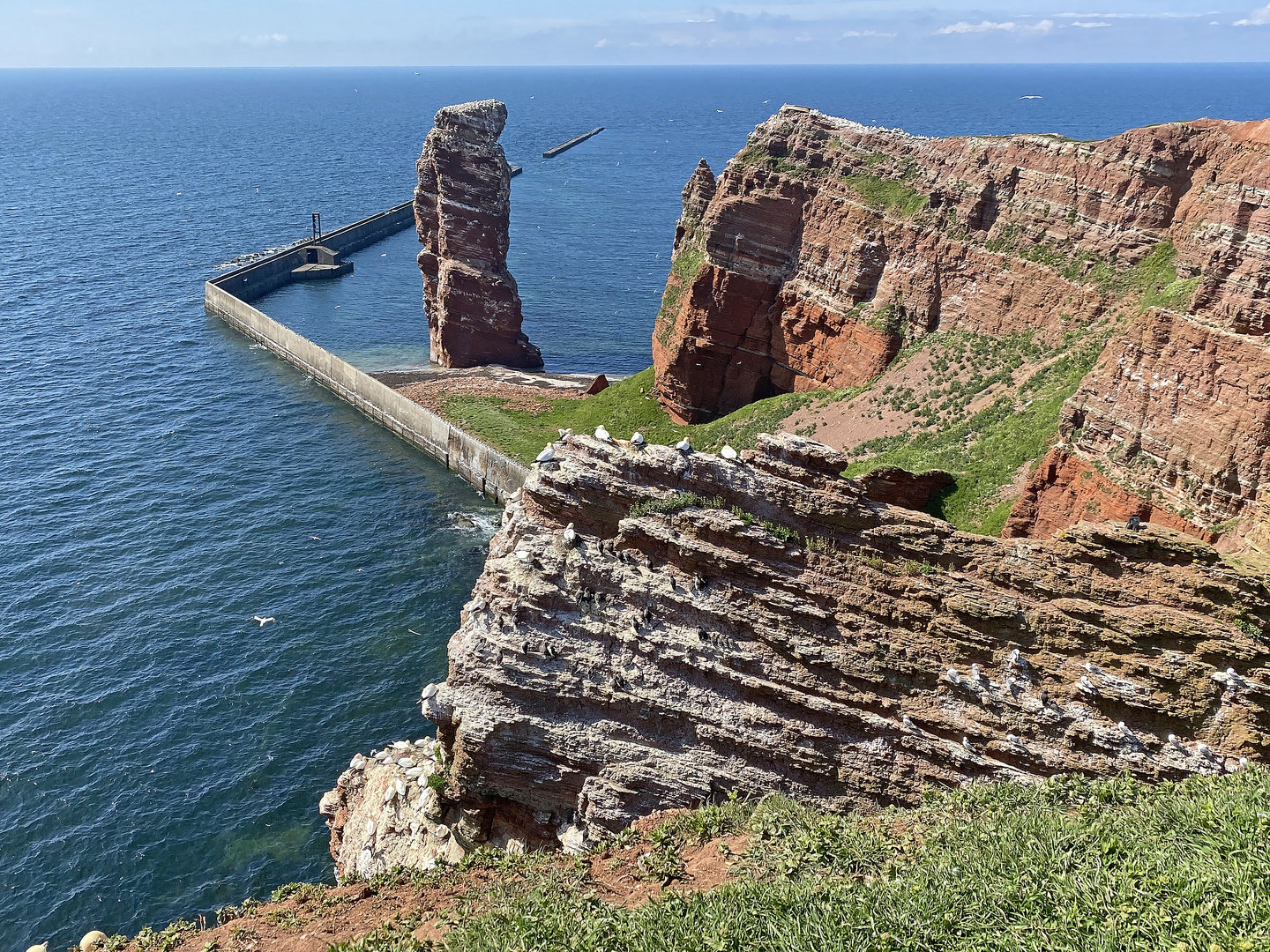 Brutregion Helgoland