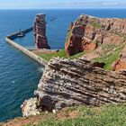 Brutregion Helgoland