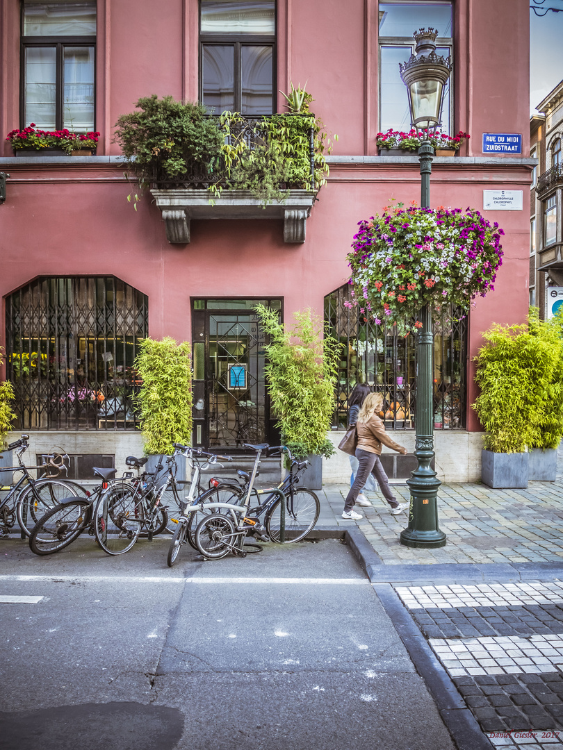 Bruxelles vert