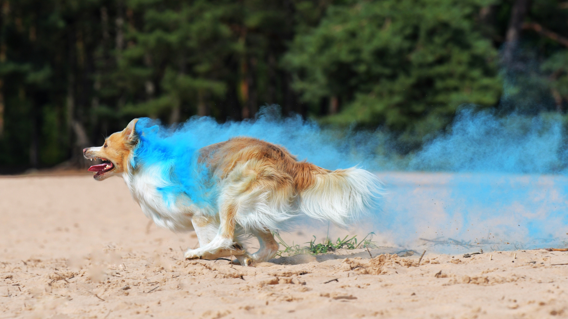 Bryan in blue