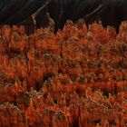  Bryce am Abend