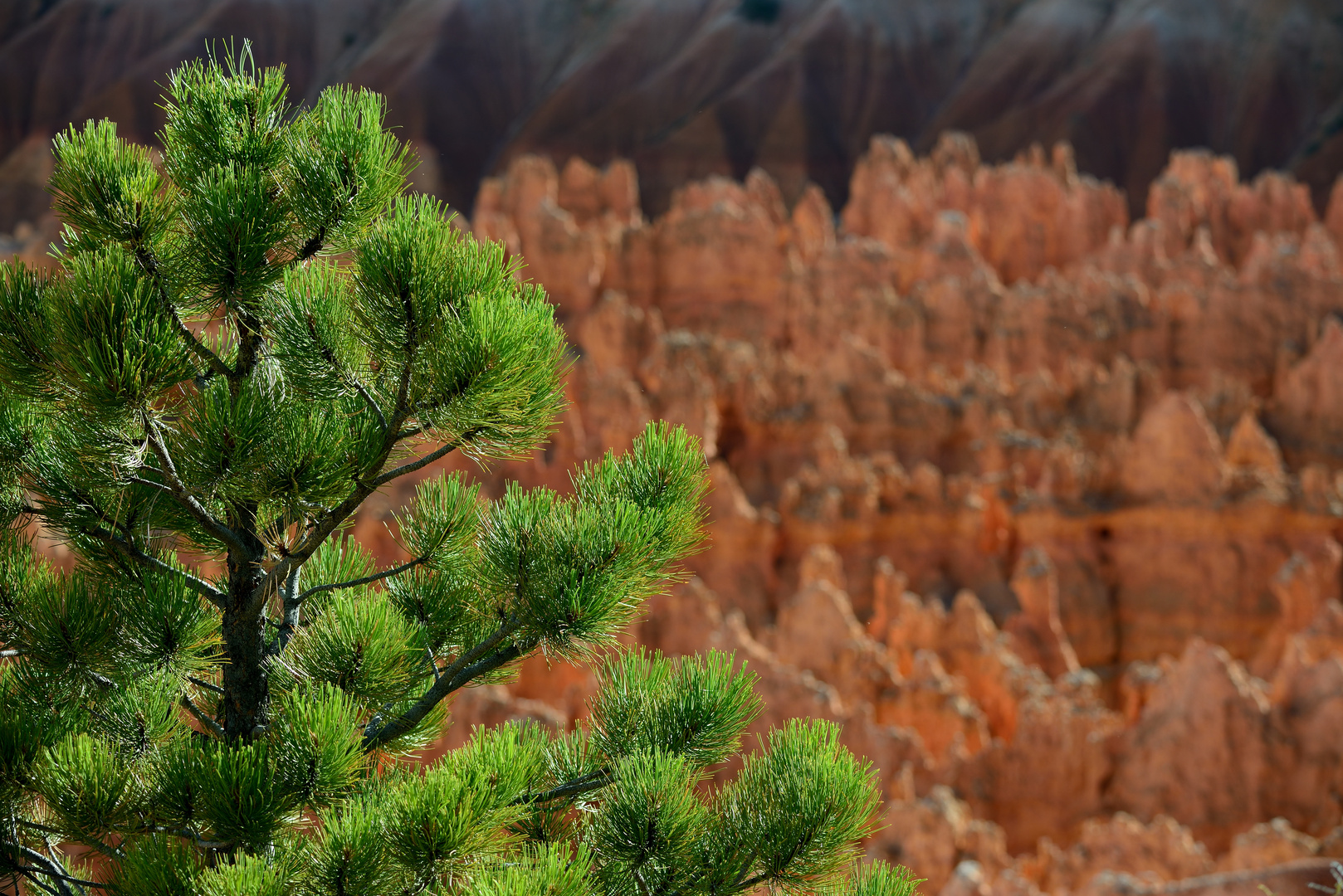 Bryce am Abend mit Grün