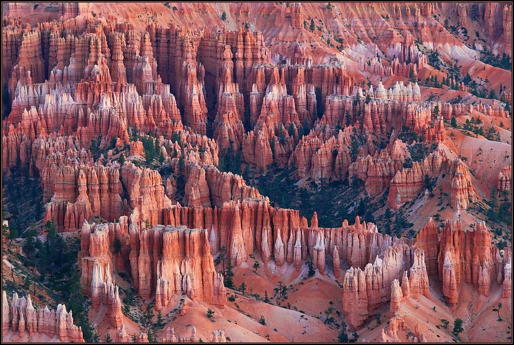 Bryce before sunrise